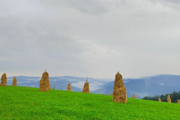 Beskid Sądecki z przewodnikiem