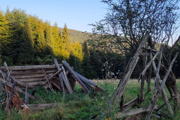 Eliaszowka, Beskid Sądecki