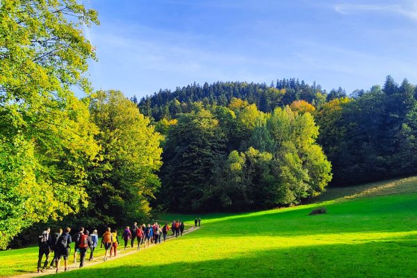 Przewodnik beskidzki, wycieczka grupowa Beskid Wyspowy