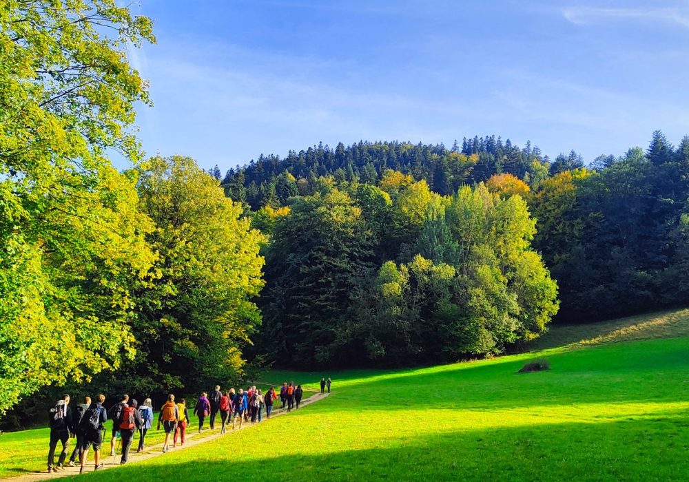 Przewodnik beskidzki, wycieczka grupowa Beskid Wyspowy