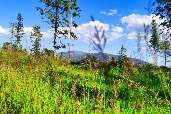 Widok na Diablak