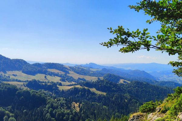 Wycieczka w Pieniny