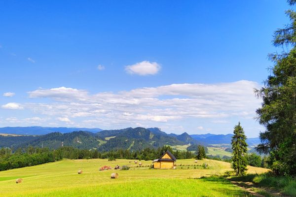 Wycieczka w Pieniny Sipskie